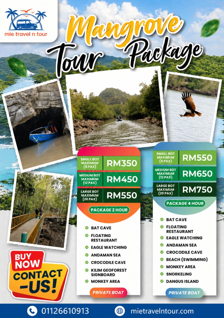 Mangrove Tour package poster